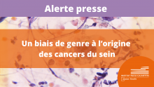Alerte Presse de l'Institut Paoli-Calmettes : Un biais de genre à l'origine des cancers du sein