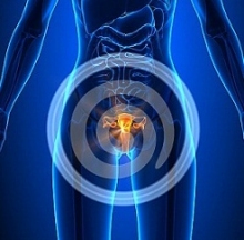 Dépistage du cancer du col de l'utérus : l'INCa publie une fiche de bonnes pratiques à l'attention des médecins et sage-femmes