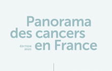Panorama des cancers (incidence, mortalité, survie, etc.), prévention et soins en France (Rapport INCa)