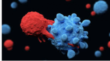 Paca Est : l’équipe d’hématologie du CHU de Nice autorisée pour une nouvelle activité de recours : le traitement de cancers par CAR-T cells.