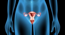 Publication de trois référentiels sur le dépistage du cancer du col de l'utérus (INCa)