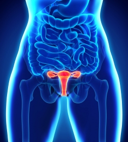 Risque aggravé - Cancers du col de l'utérus